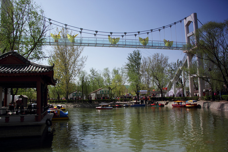 姜堤乐园位于山东省 a target="_blank" href="/item/聊城市">聊城市 