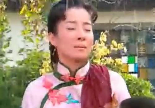  p>《中国媳妇》是由导演罗福执导的家庭伦理系列剧 ,该剧共分五部.