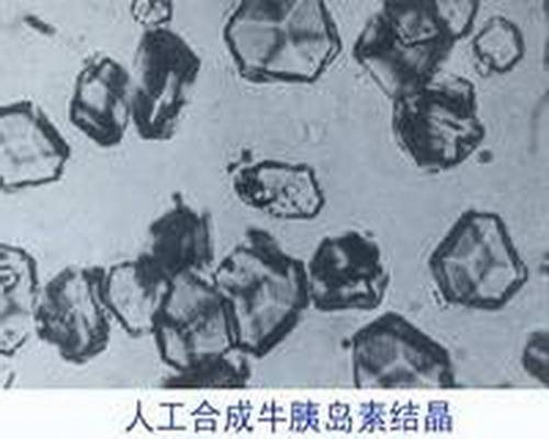 p>结晶牛胰岛素(crystallized bovine insulin)是牛的胰岛素结晶.