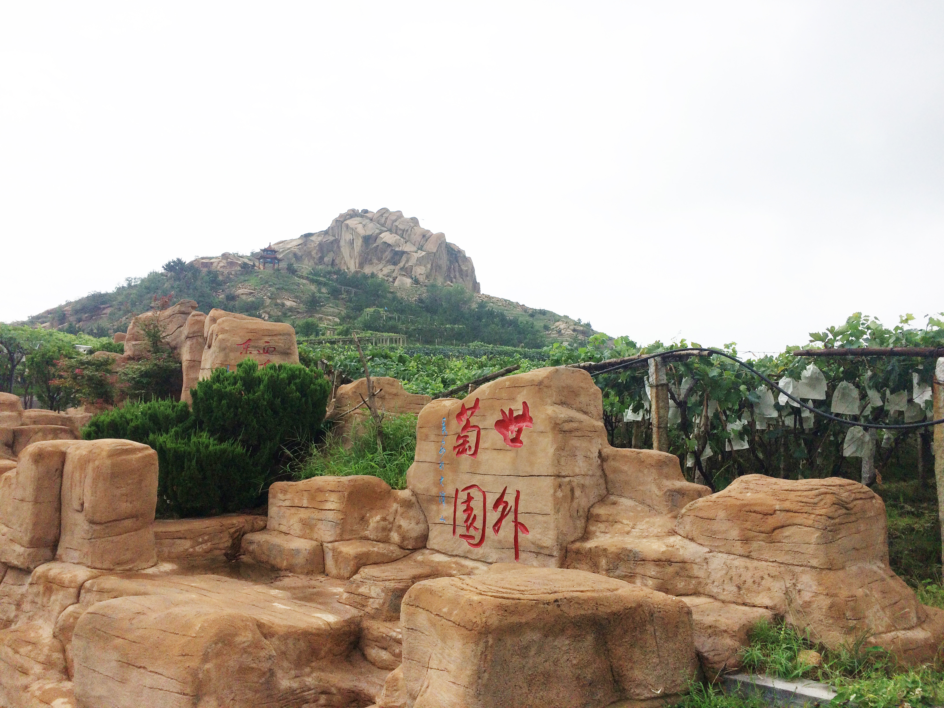  p>《平度旅游指南》由 a target="_blank" href="/item/平度市旅游局