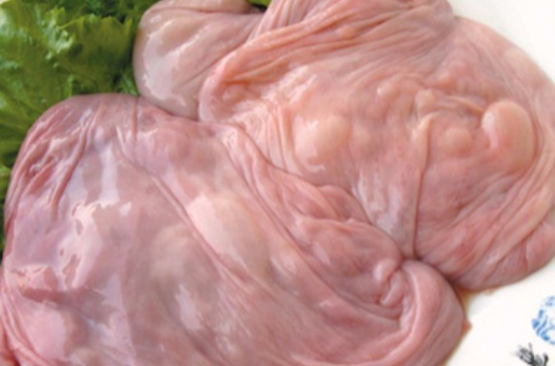 羊胎盘是母羊孕育胎儿时候负责母体和胎儿