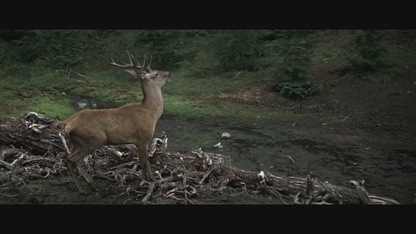 猎鹿人thedeerhunter(1978)