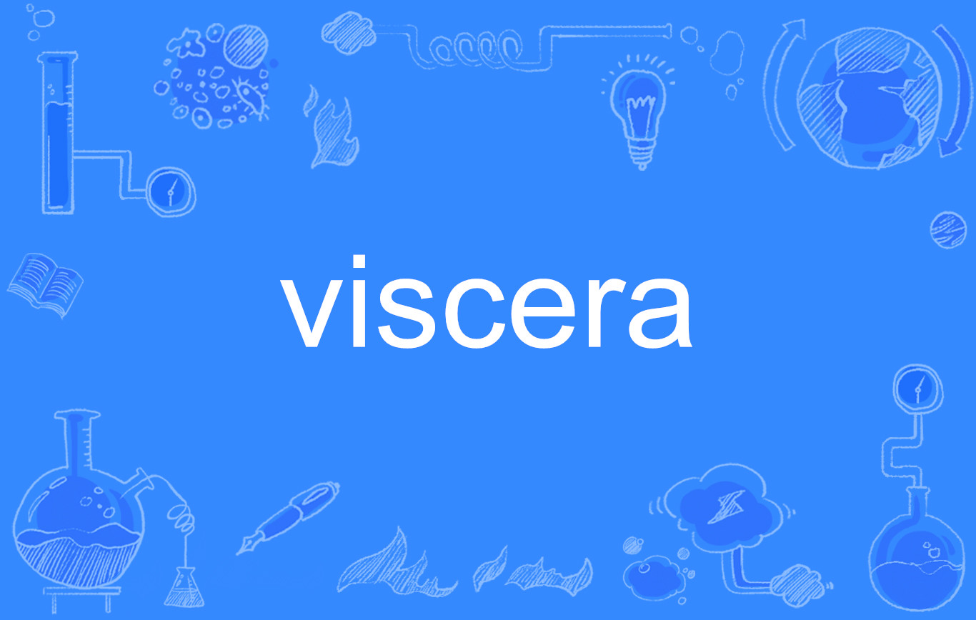 viscera