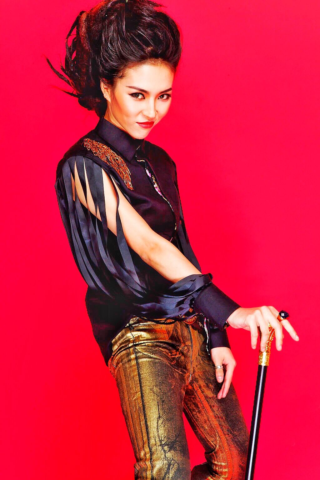 中国好声音第二季 毕夏