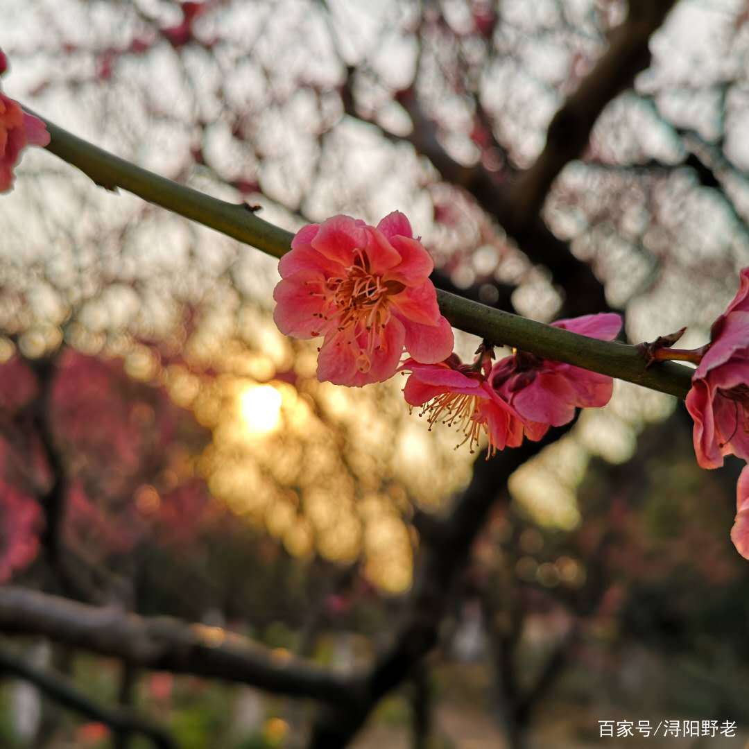 逐字逐句详解《黄帝四经·道原》182授之以其名，而万物自定_百科TA说