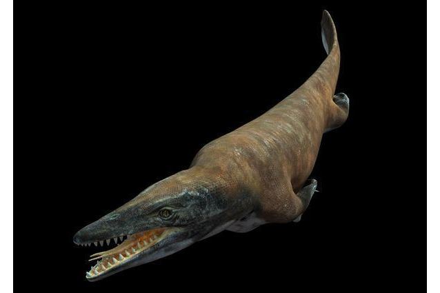  p>扁掌龙亚科(plioplatecarpinae)意为"接近桨的