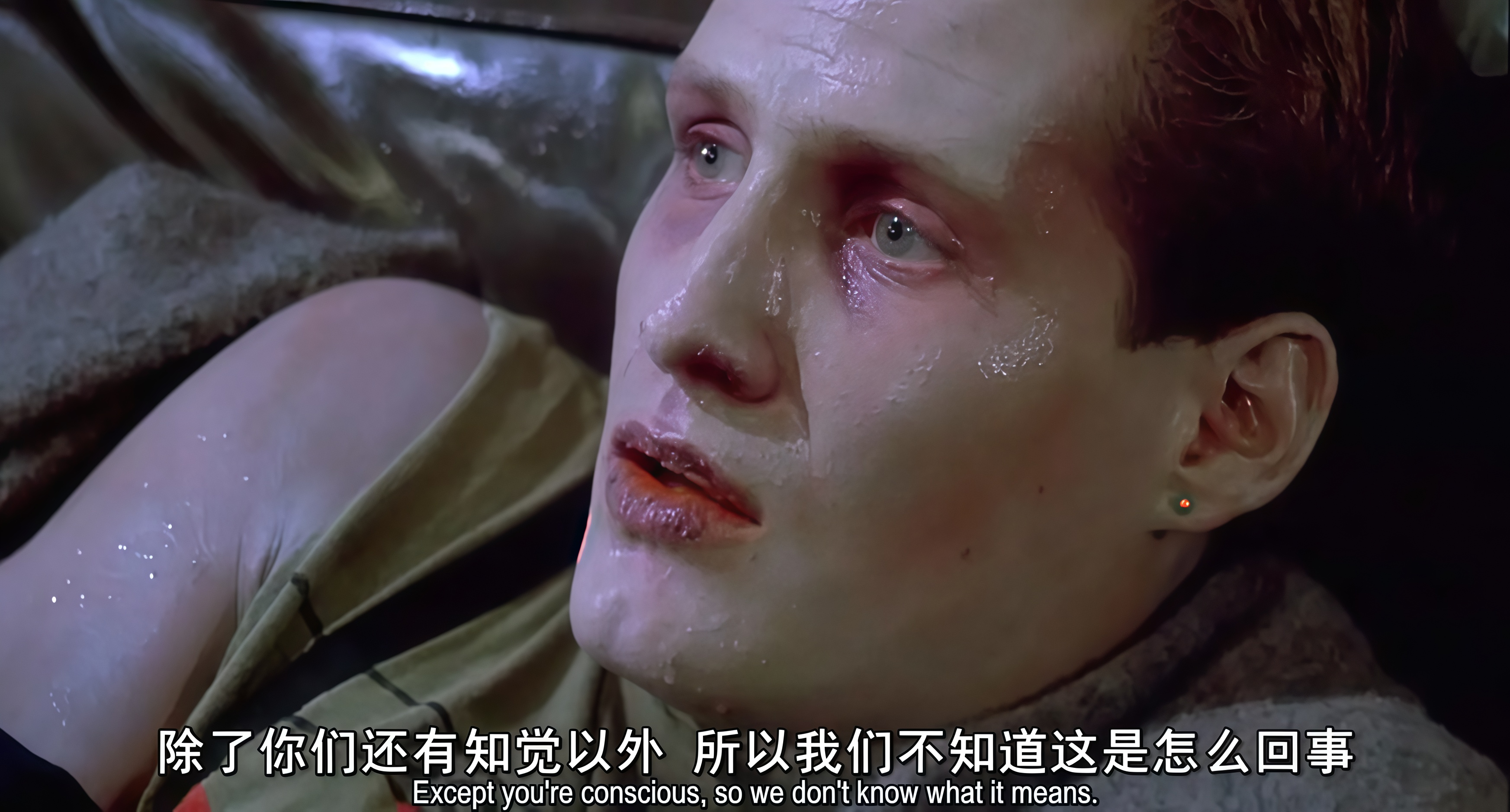 活死人归来