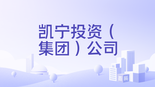 凯宁投资（集团）公司_百度百科