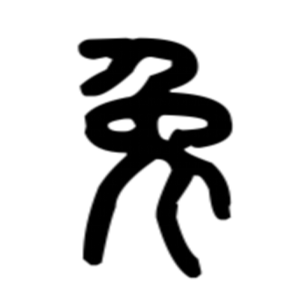 你了解可爱的海棠兔吗？_百科TA说