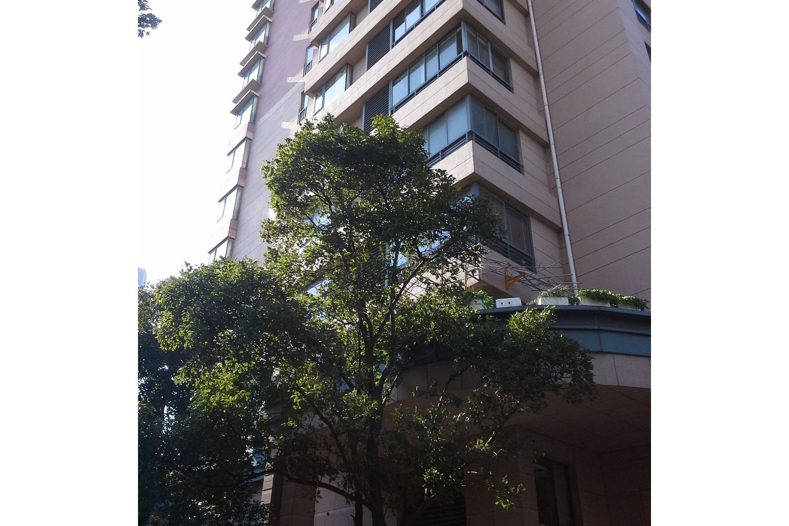  p>复城国际(公寓)位于上海市虹口曲阳,由上海复地智宝房地产开发有限