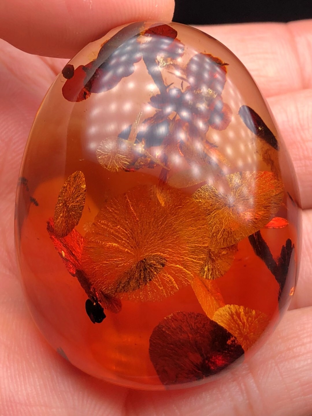  p>琥珀,是一种透明的生物 a target="_blank" href="/item/化石