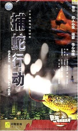 捕蛇行动(10vcd)