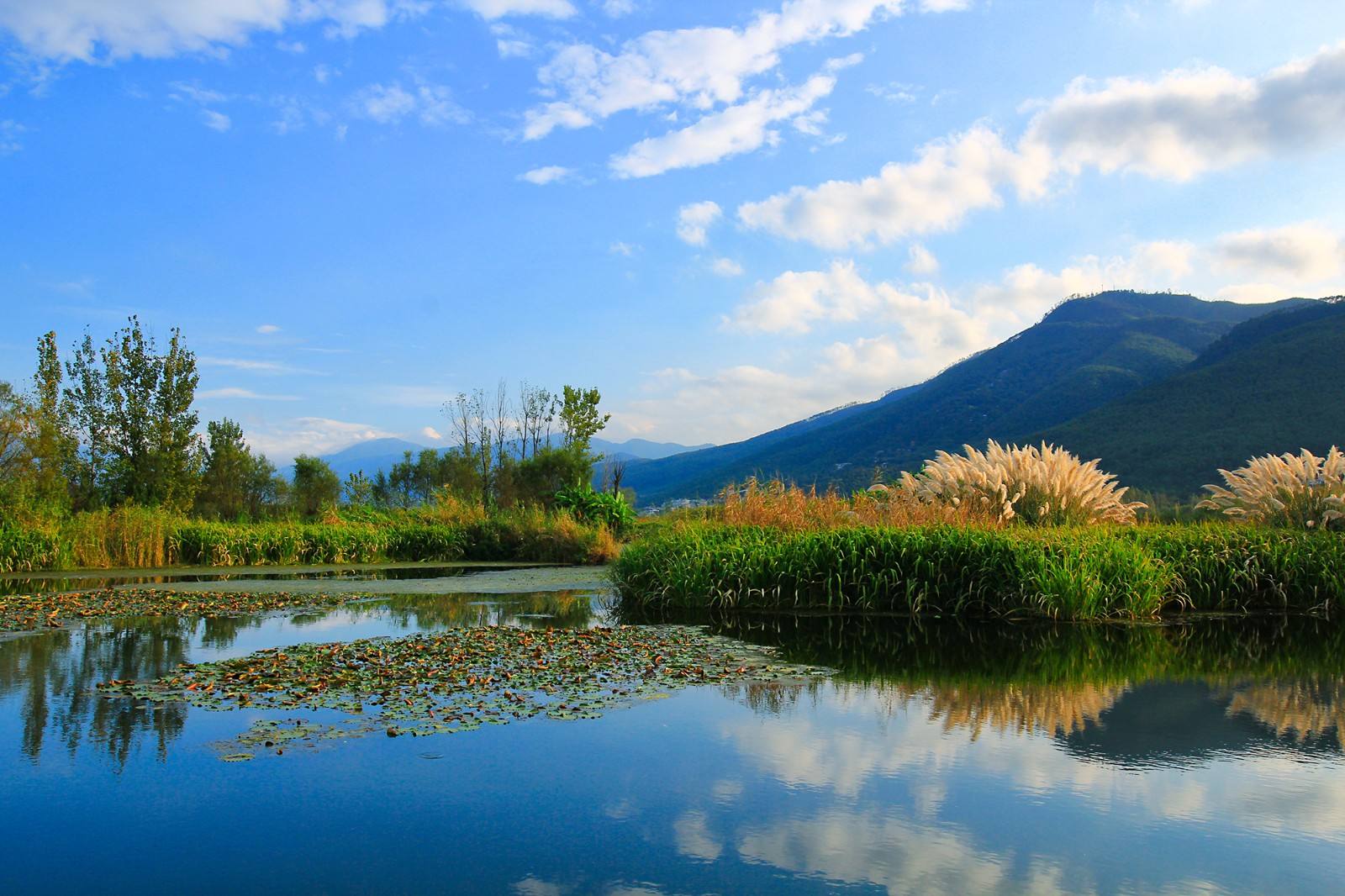  p>邛海国家湿地公园是经国家林业局批准建立并公布的具有较高生态