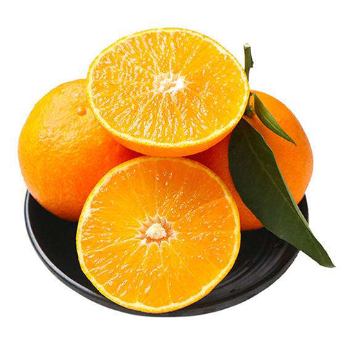  p data-id="gnco1d38fp">红美人(学名: i>c