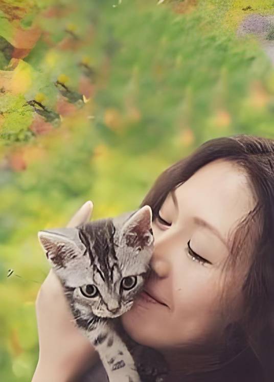 人和一只猫的绝妙爱情_百度百科