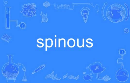 spinous_百度百科