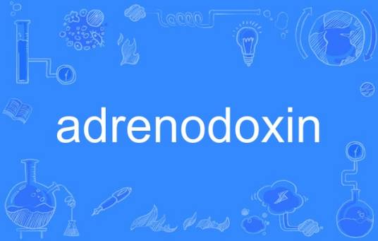 adrenodoxin_百度百科
