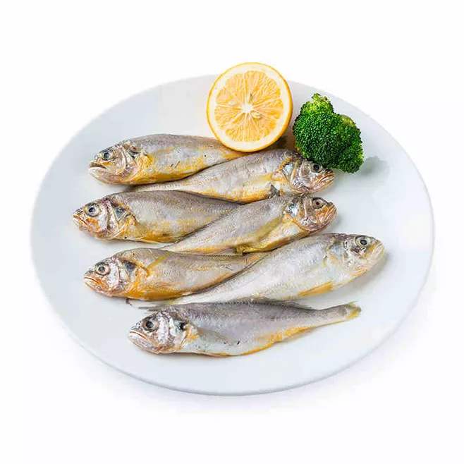  p>小黄鱼(学名: i>larimichthys polyactis /i>)是石首鱼科,黄鱼属