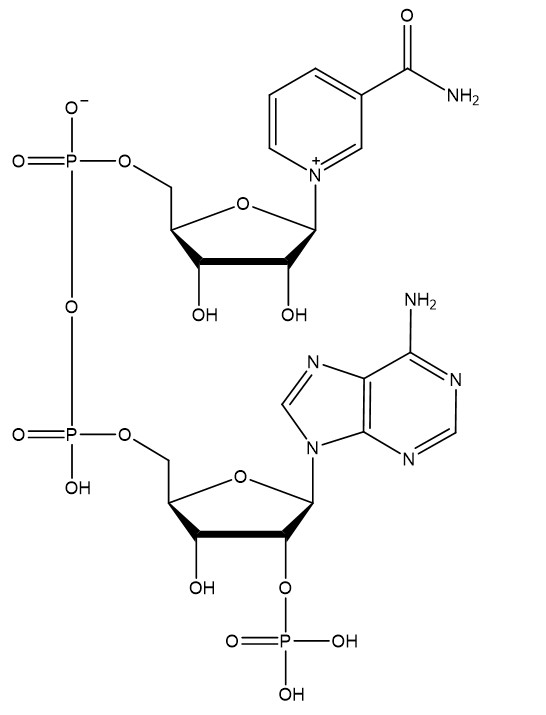  p data-id="gnwvbxuojl">nadph即 a target="_blank" href="/item