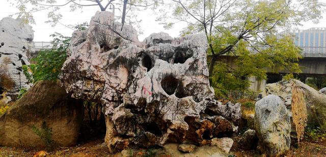 老照片的故事｜淘到三块红太湖石，来之不易，都是数十吨的大家伙_百科TA说