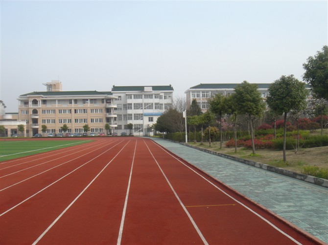 礼河实验学校