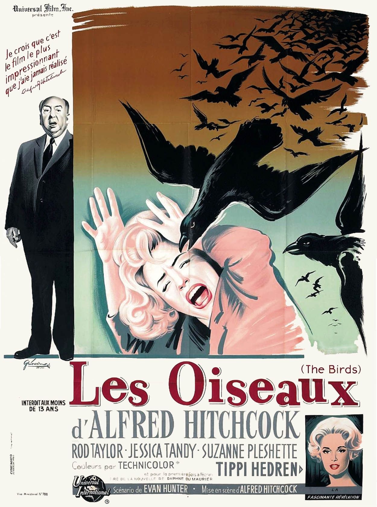 群鸟thebirds(1963)