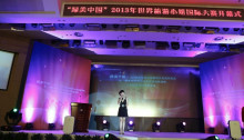 冯艺茗世界旅游小姐开幕式现场照