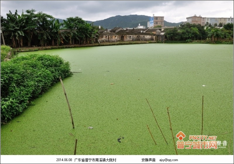  p>大陇村(dlǒng)行政村,曾名大陇陈.在普宁市区北24.3公里处.