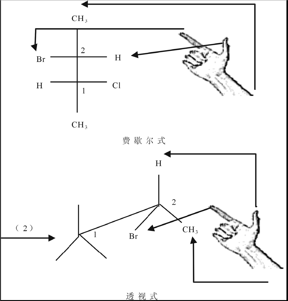 埃米尔·费歇尔 /a>(hermann emil fischer)为使得书写含手性碳原子的