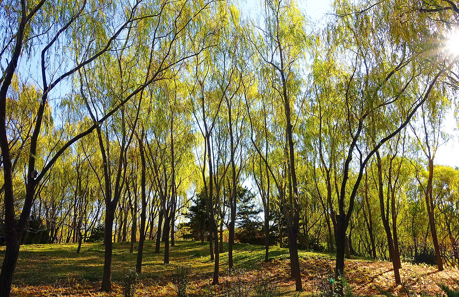  p>日月岛是大庆连环湖度假区西部一个面积约1平方公里的湖中小岛