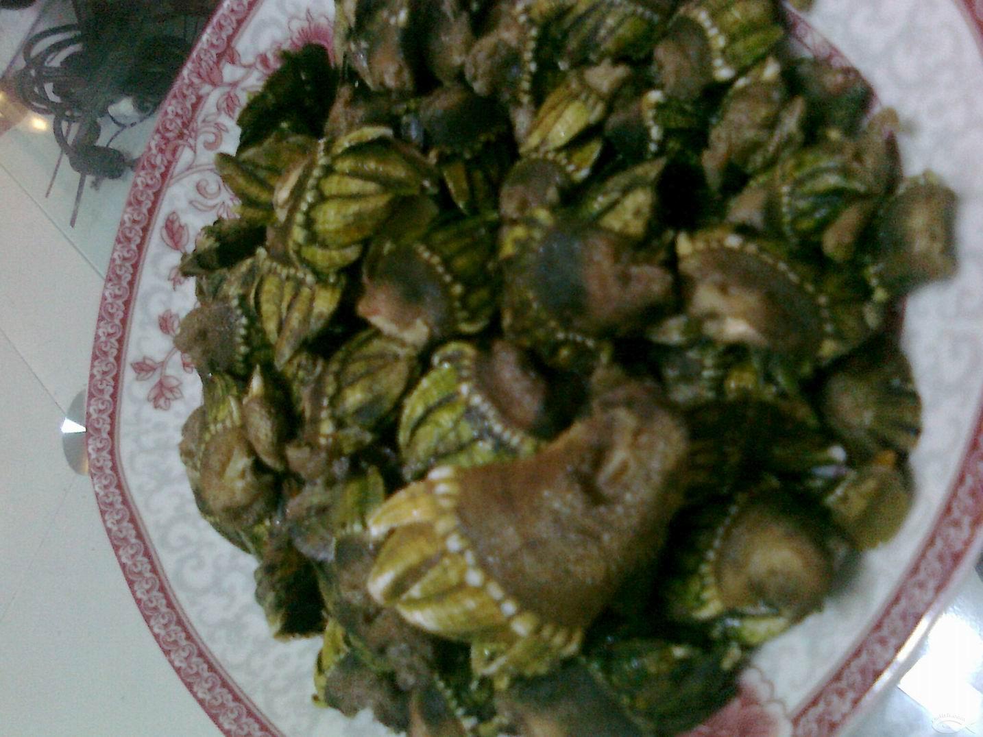  p data-id="gnats27pjm">蔓足纲(cirripedia)是