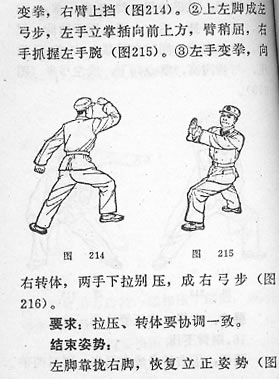 捕俘拳