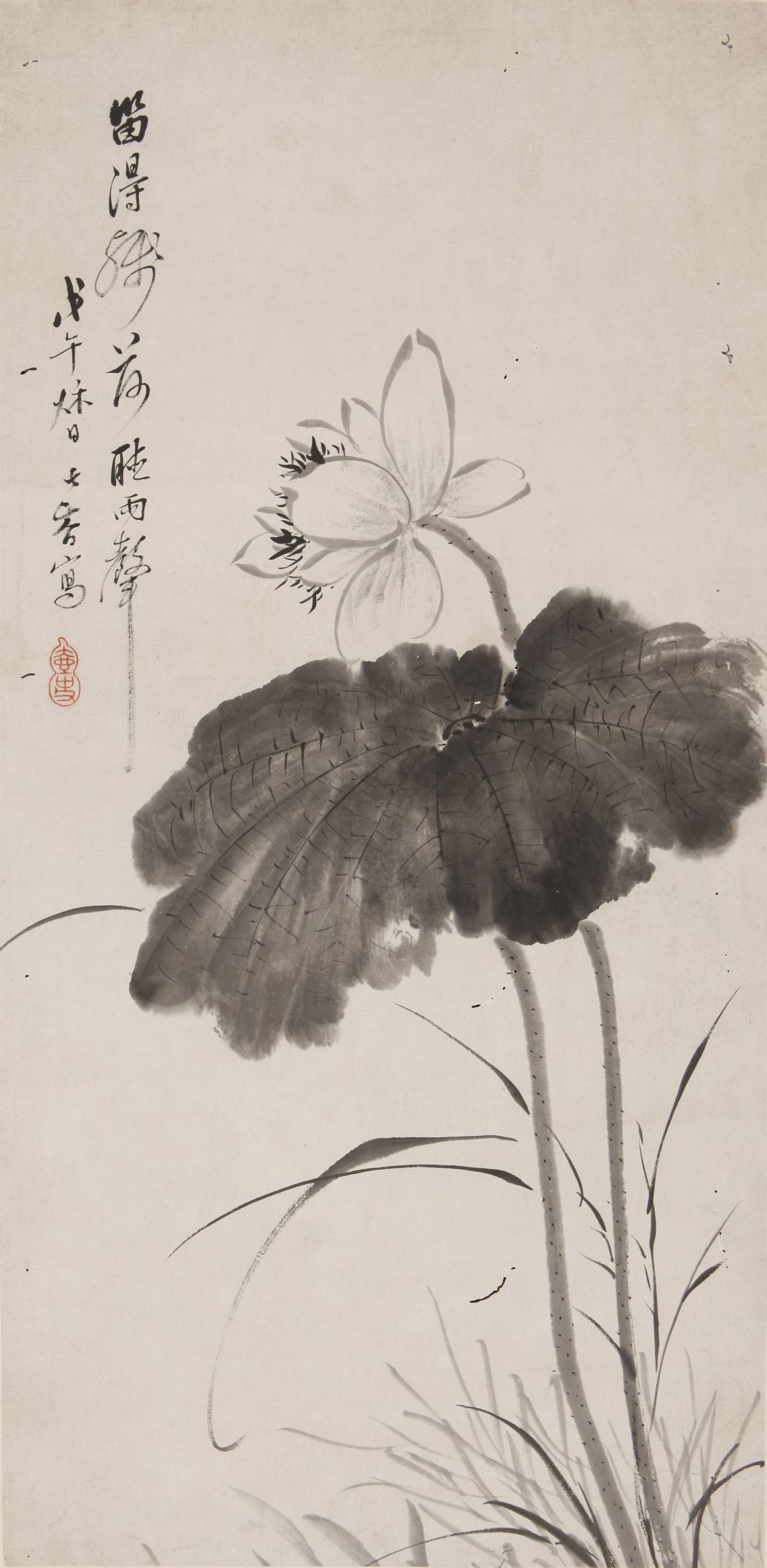 墨荷