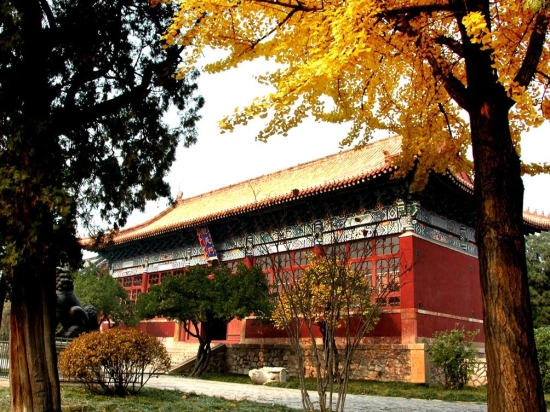 泰安市博物馆