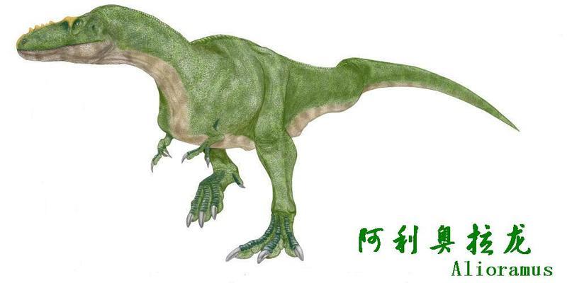  p>阿利奥拉龙(拉丁文alioramus)又名分支龙. /p>