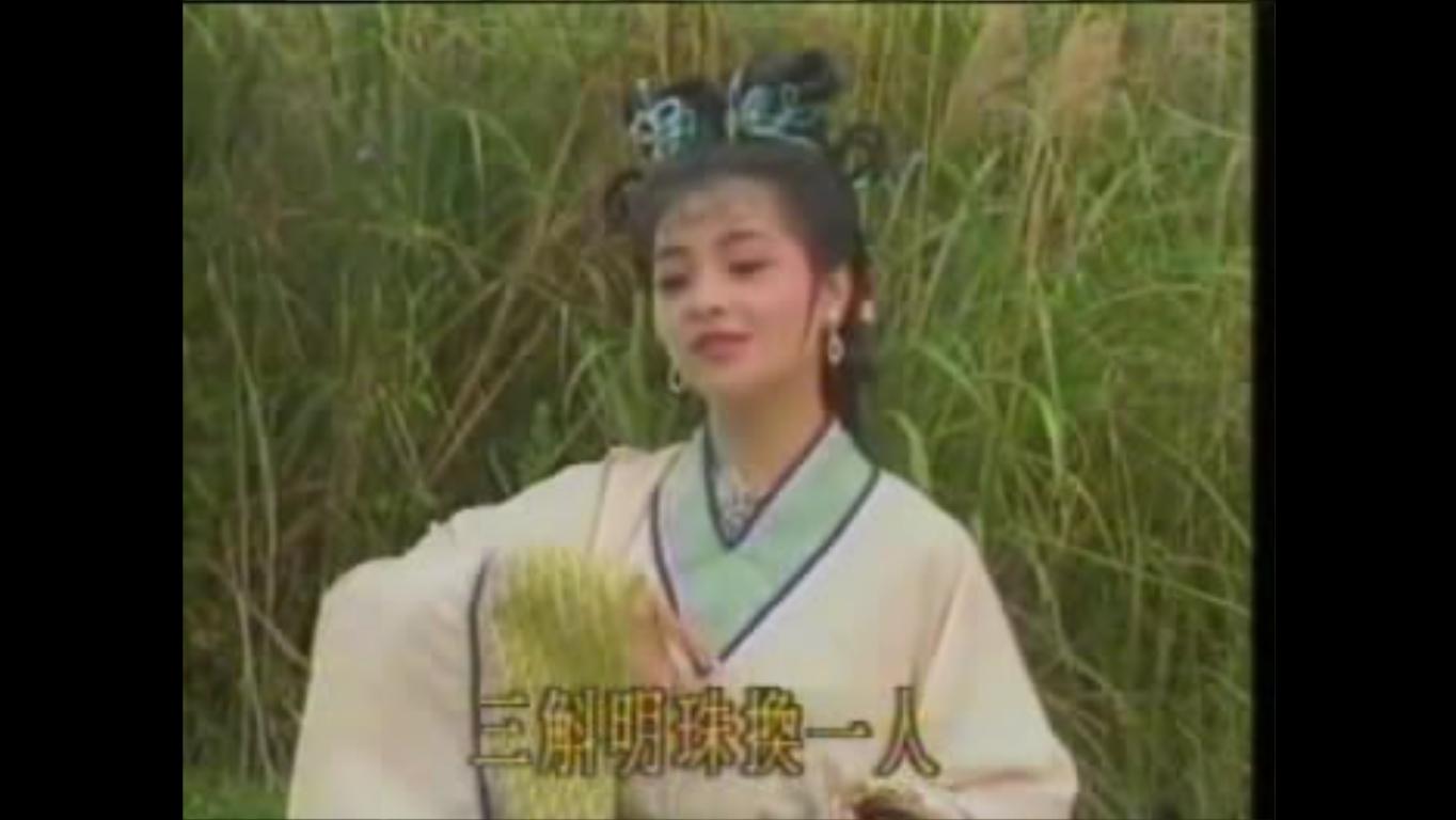 电视剧《绿珠楼》(1990年版黄香莲电视歌仔戏)中的人物,由易淑宽饰演