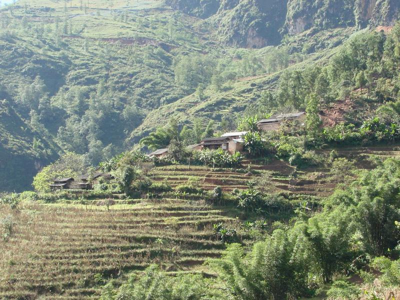  p>轻木树林格自然村,隶属于云南省 a target="_blank" href="/item