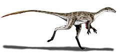  p>虚骨龙(学名coelurus)又名空尾龙,是指属于 a href="#" data-lemma