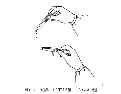  p>手术镊(forceps)手术镊用于夹持和提起组织,以利于解剖及缝合,也可