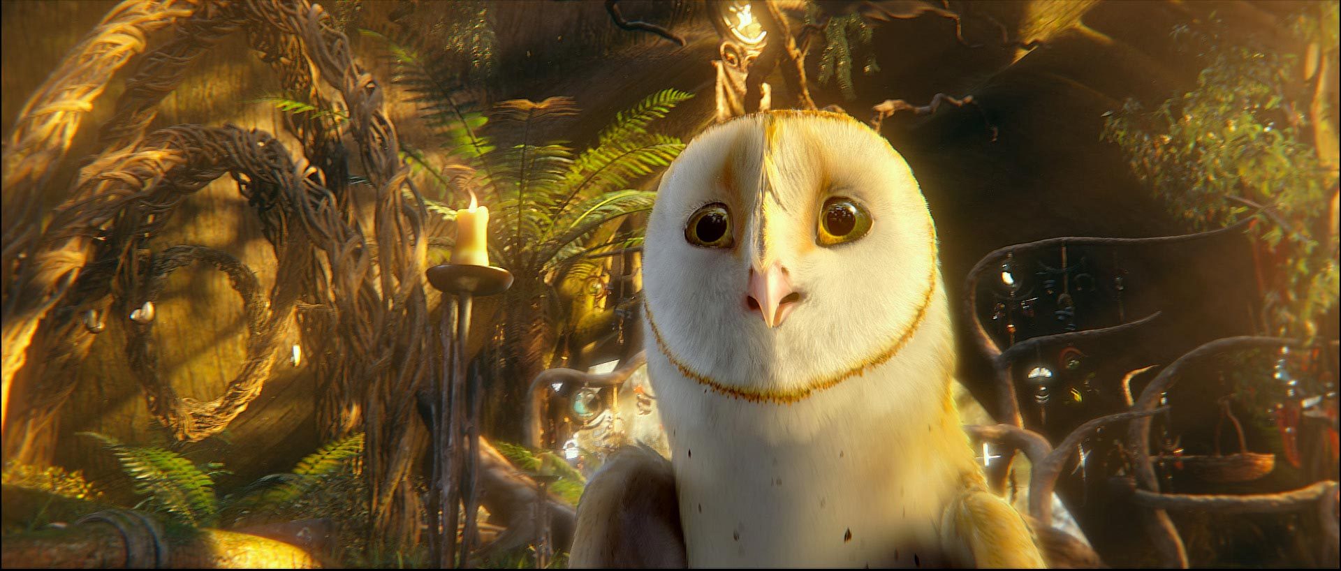 猫头鹰王国:守卫者传奇