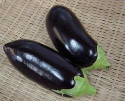 上海松江兰花小茄