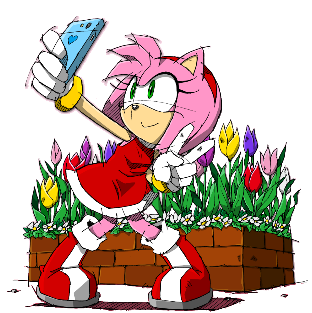  p> b>amy rose /b>(艾咪·罗斯,エミー   ローズ,  i>emī rōzu /i>
