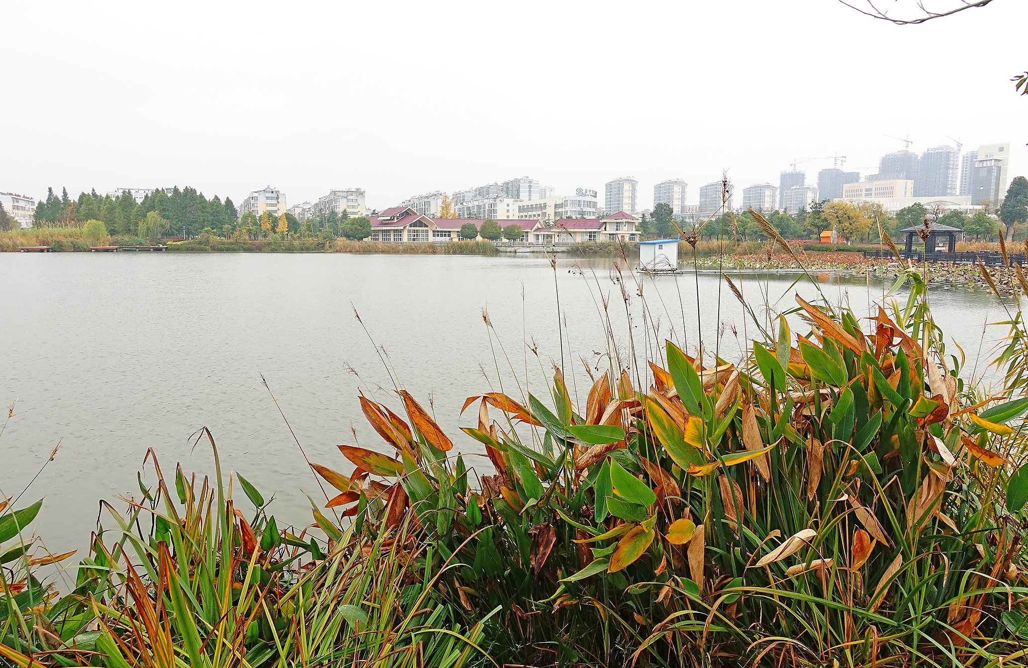  p>白天鹅公园在 a target="_blank" href="/item/阜宁/871643" data