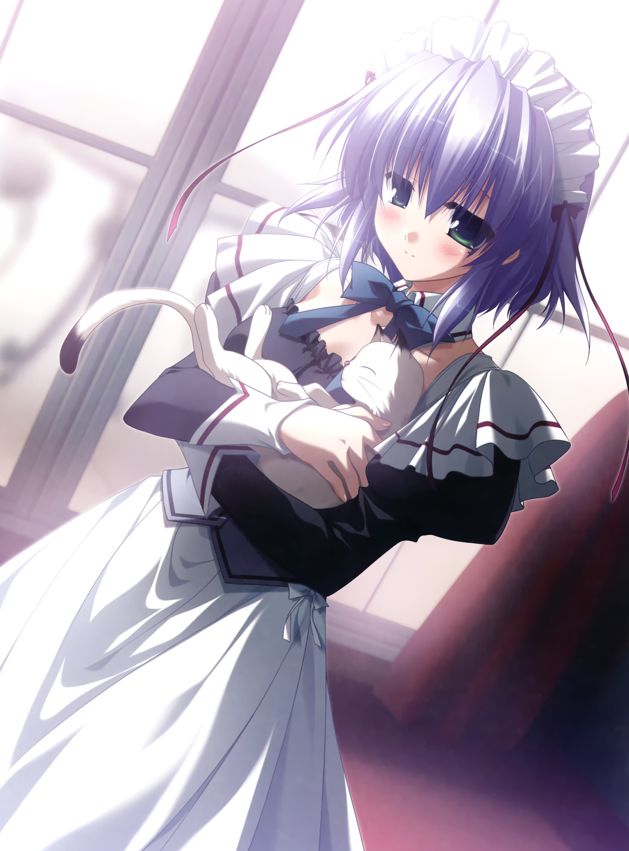  p data-id="gnbjb4qktx">艾丽卡,日本 a target="_blank" href="