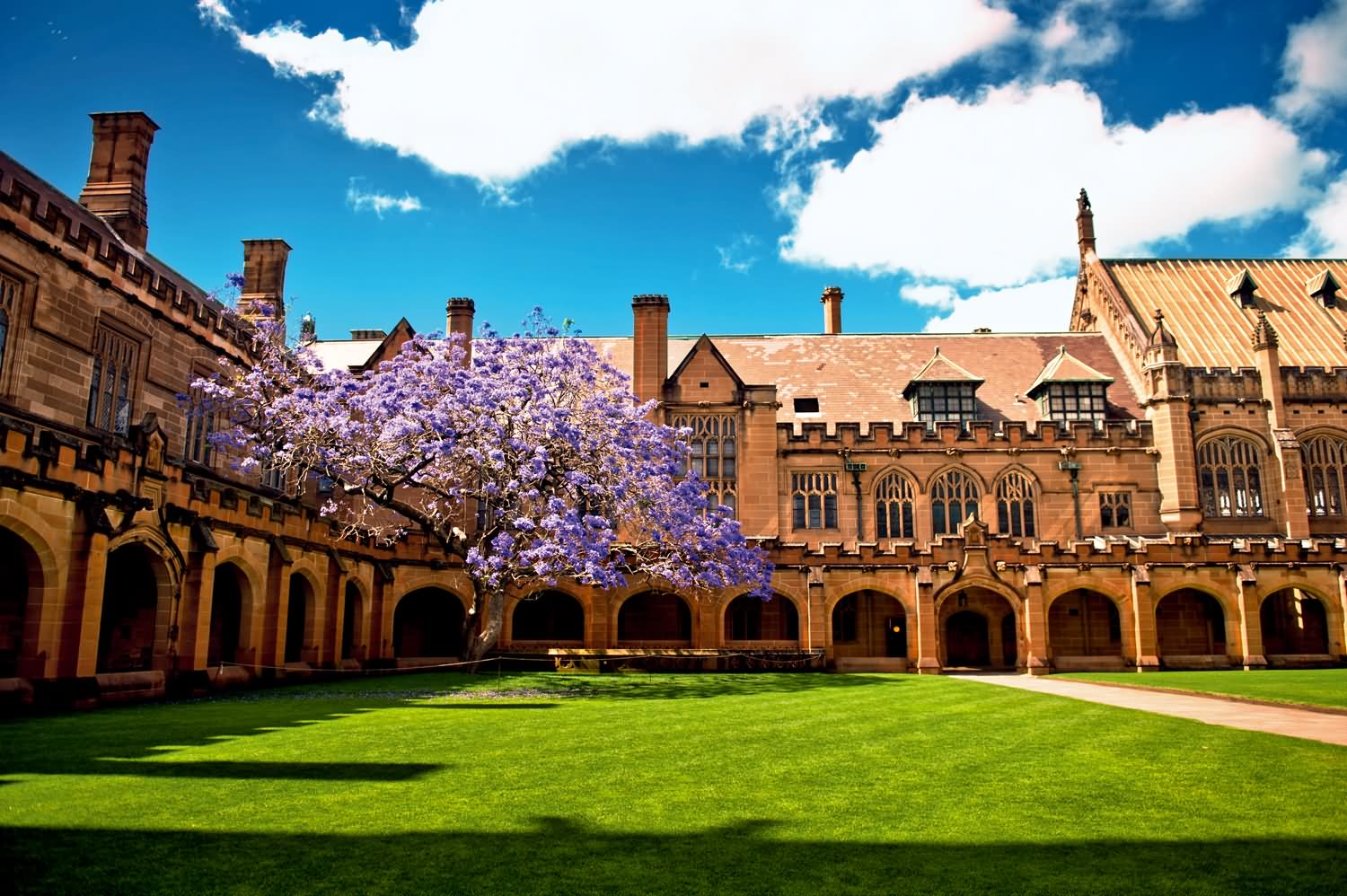  p>悉尼大学(the university of sydney),始建于1850年,坐落于 a