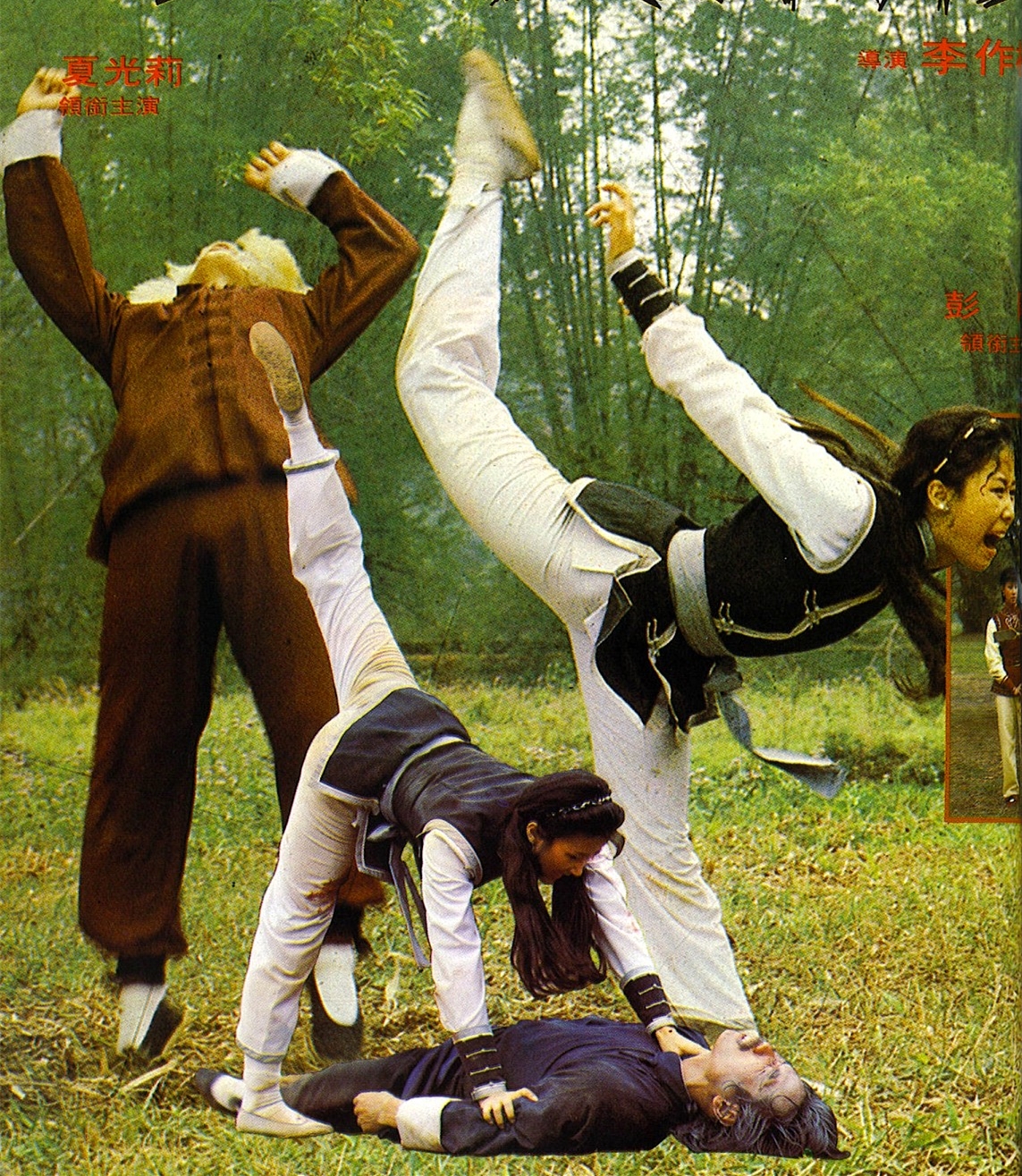 外文名是《the woman avenger》1980年09月11日上映的台湾剧情电影