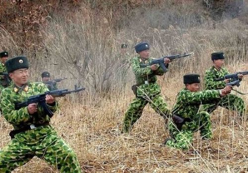data-lemmaid="7147491">朝鲜人民军 /a>在部分改革后朝鲜特种部队