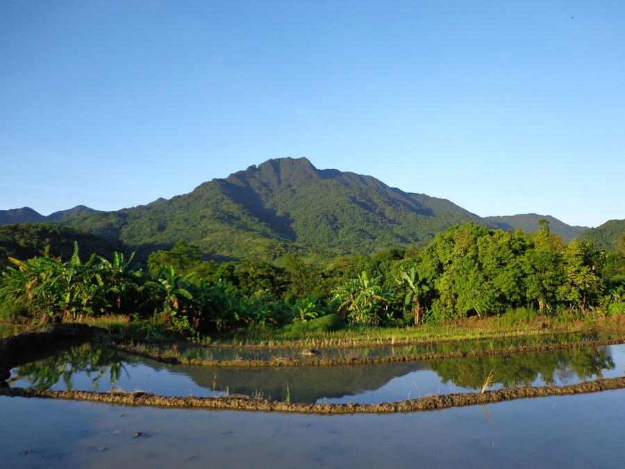 吊罗山乡崩岭村