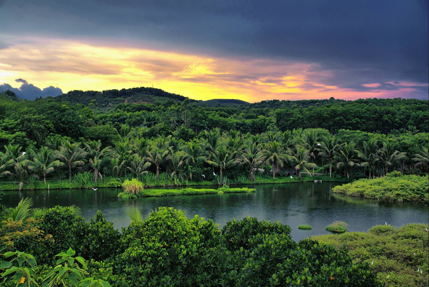  p>金手指·白鹭湖度假区简称金手指白鹭湖,位于海南中部核心——琼中