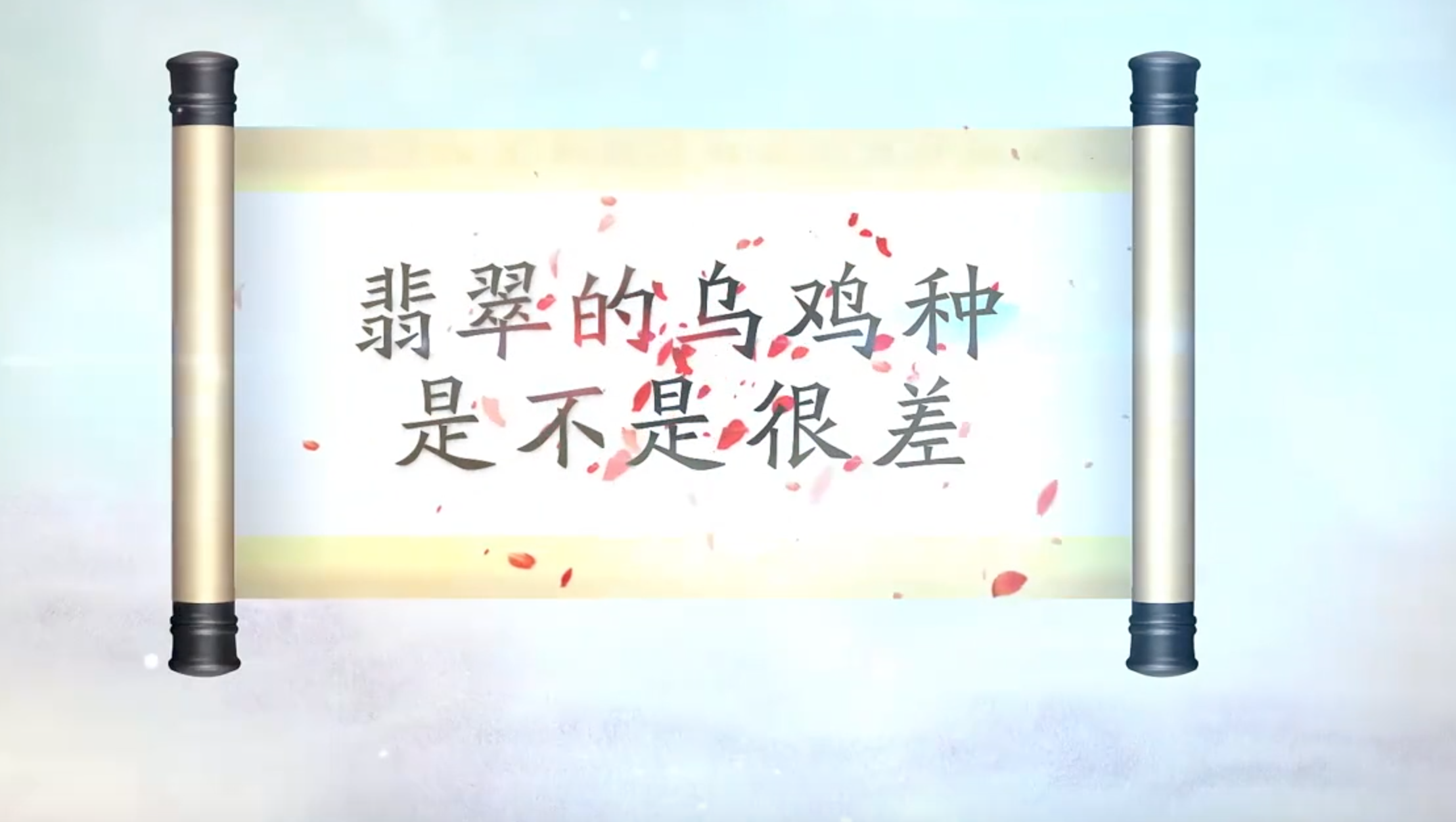 翡翠的乌鸡种是不是很差